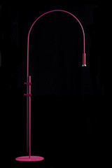 Modèle simple rose