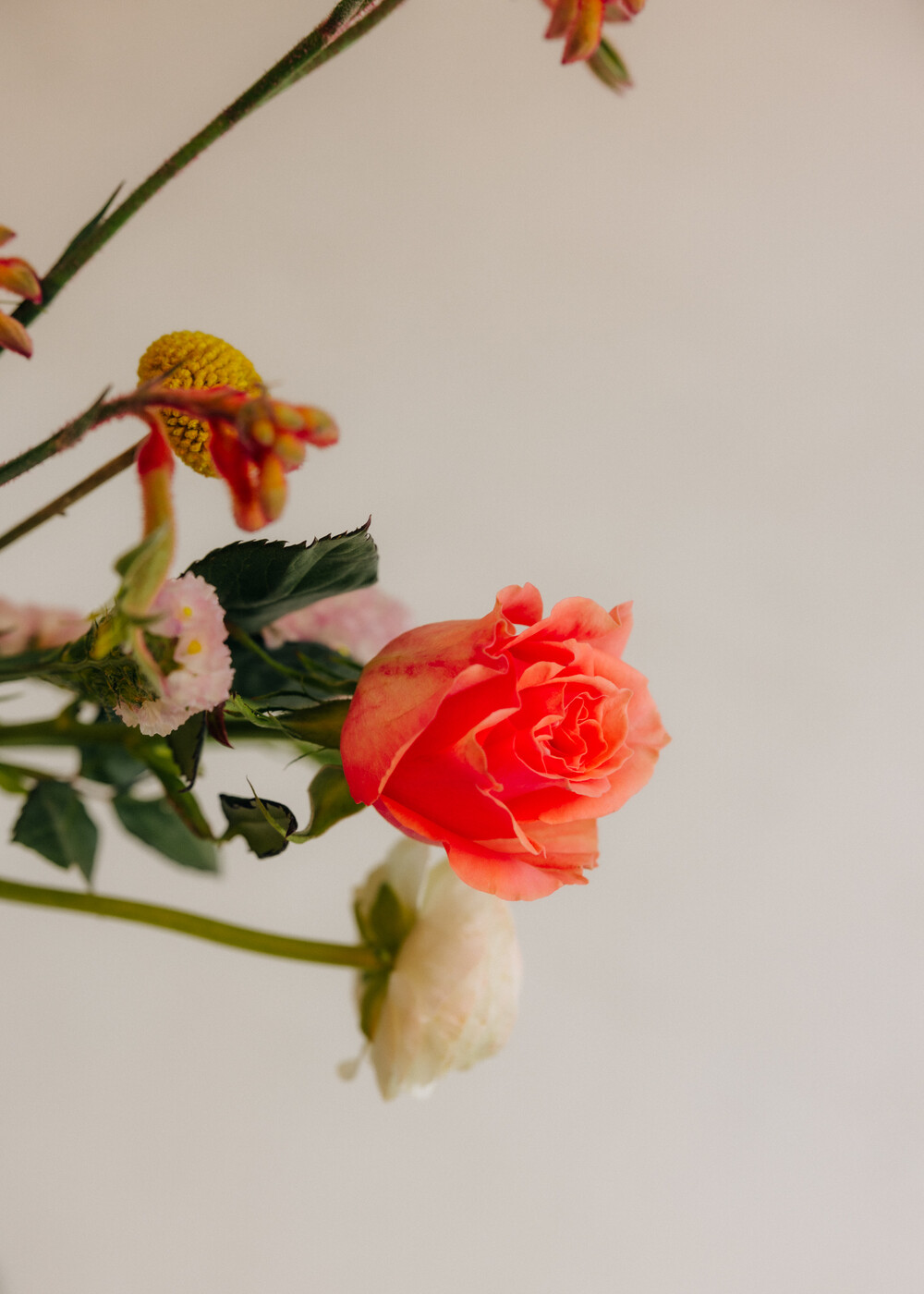   © Annika Wallis